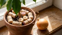 Wypędziłem muchy z mojego grządki z cebulami i kwiatami za pomocą zwykłego korka od wina (i polecam wam zrobić to samo – to naprawdę działa!).